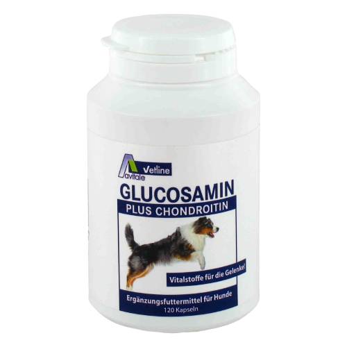 GLUCOSAMIN+CHONDROITIN Kapseln f.Hunde