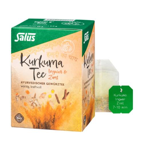 KURKUMA TEE Ingwer & Zimt Bio Salus Filterbeutel